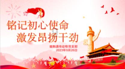 影视工厂